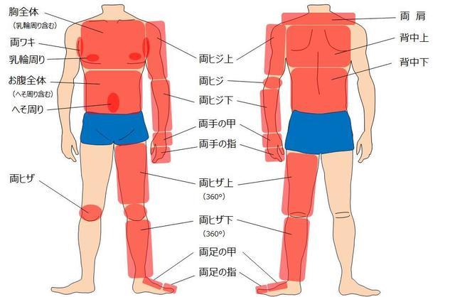 ボディーパーツ説明